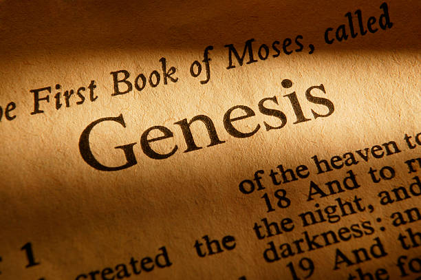 AI Genesis